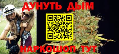 сатива Новодвинск