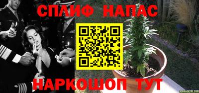 скорость Новозыбков