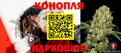 скорость Новозыбков