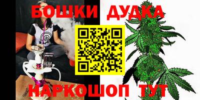 сатива Новодвинск