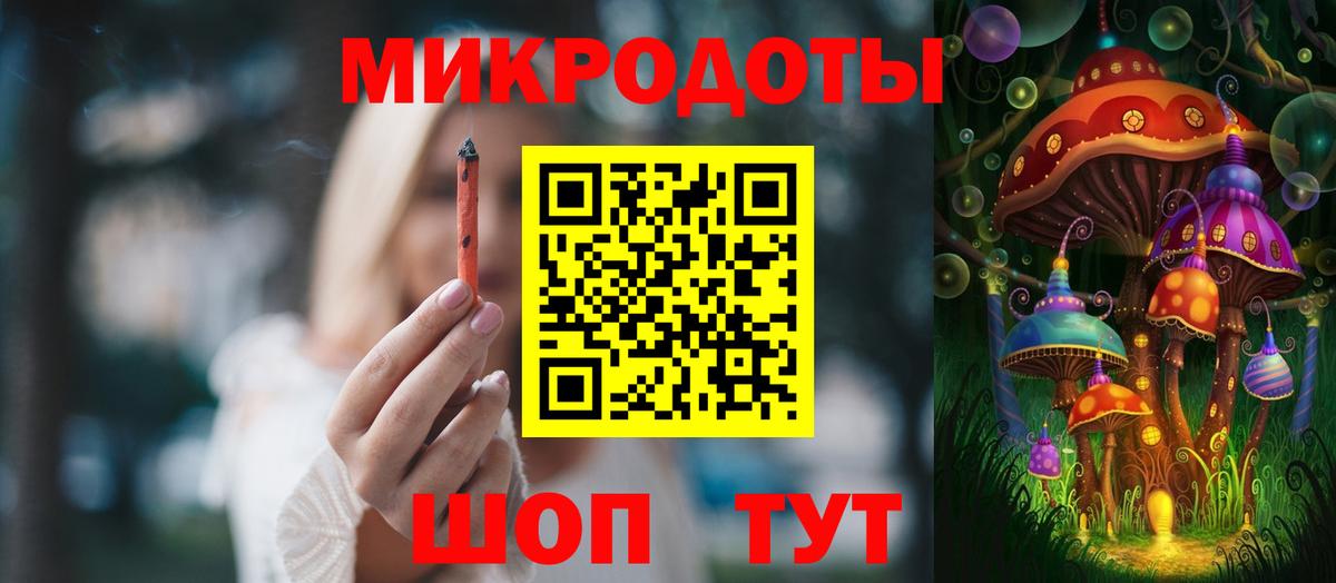 Галлюциногенные грибы Psilocybe Прохладный